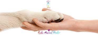 Reiki animaux 5